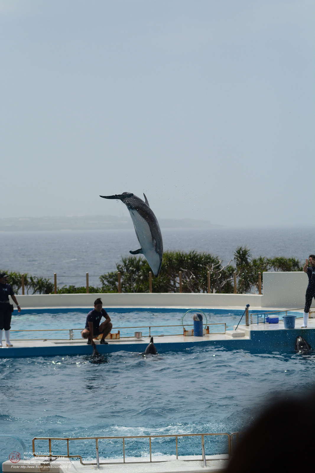 DSC_3079.jpg